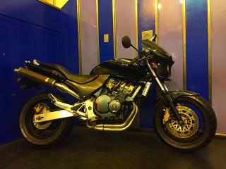 HORNET250